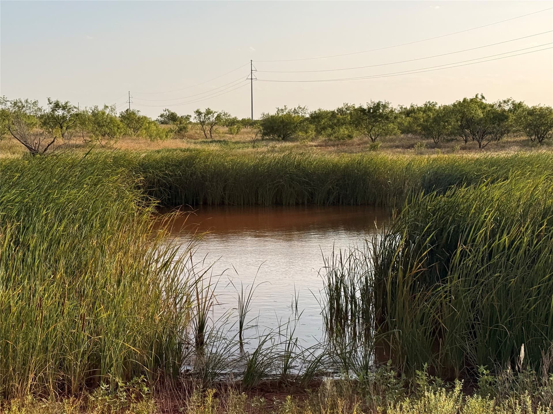 33 acres in Taylor County - photo 8
