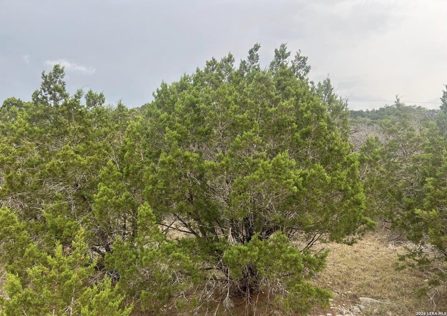 0.15 acres in Comal County - photo 4