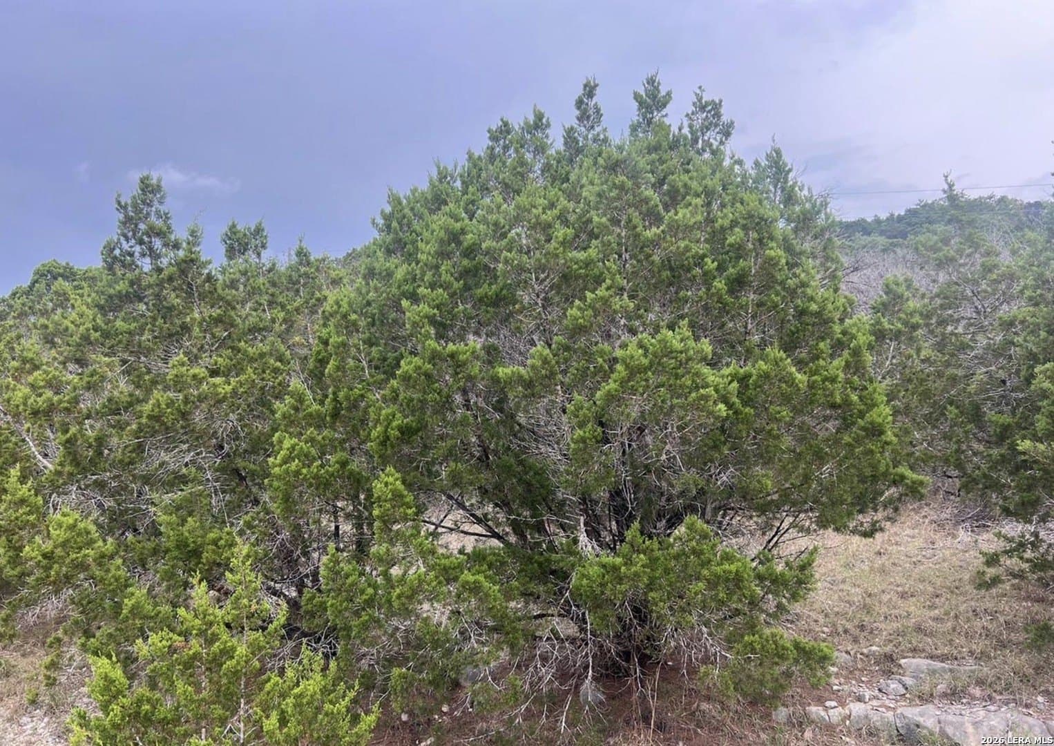 0.15 acres in Comal County - photo 3