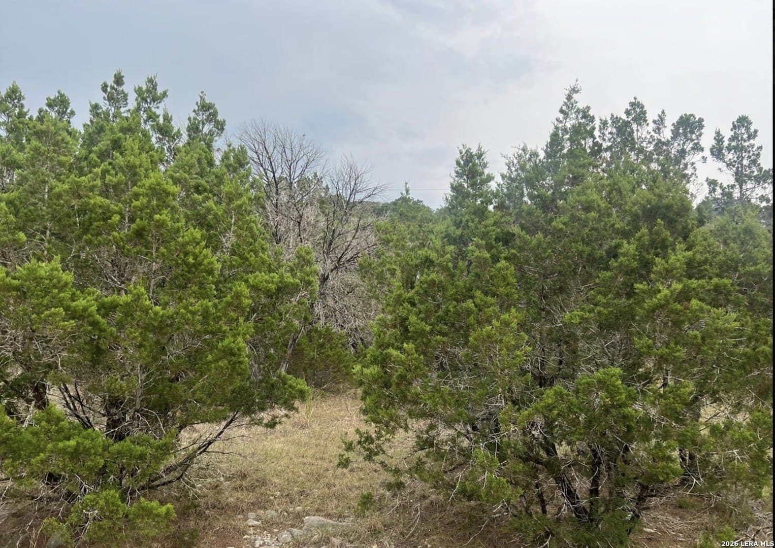 0.15 acres in Comal County - photo 5