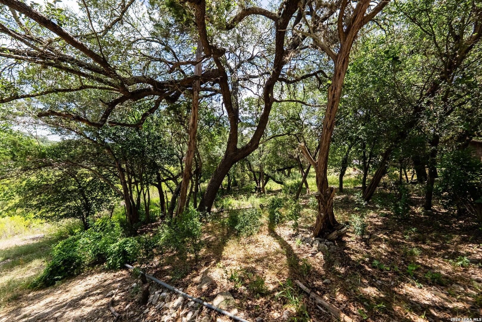0.26 acres in Bandera County - photo 11