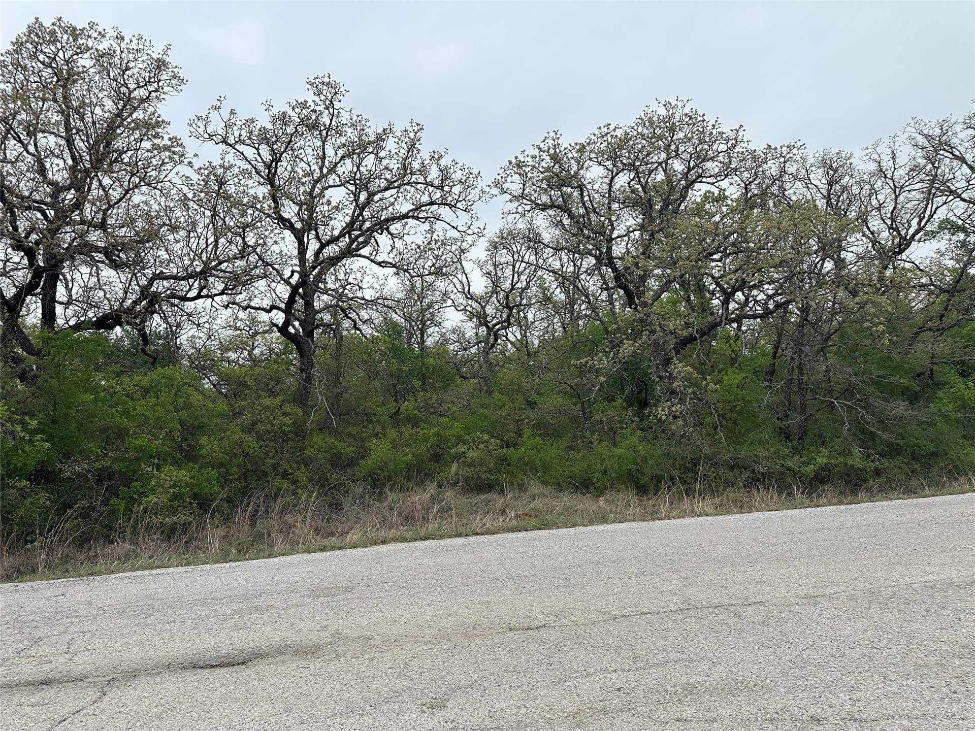 0.3 acres in Wise County - photo 2