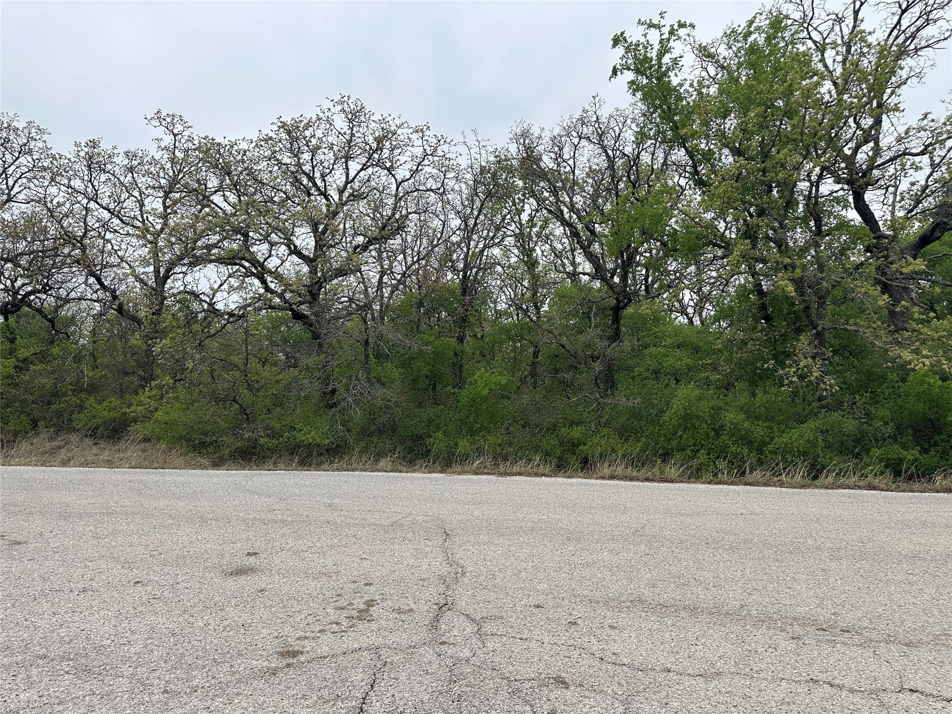 0.3 acres in Wise County - photo 4