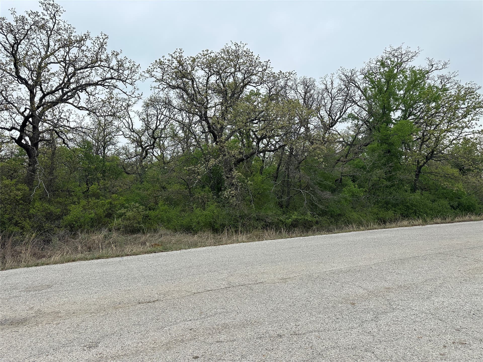 0.3 acres in Wise County - photo 3