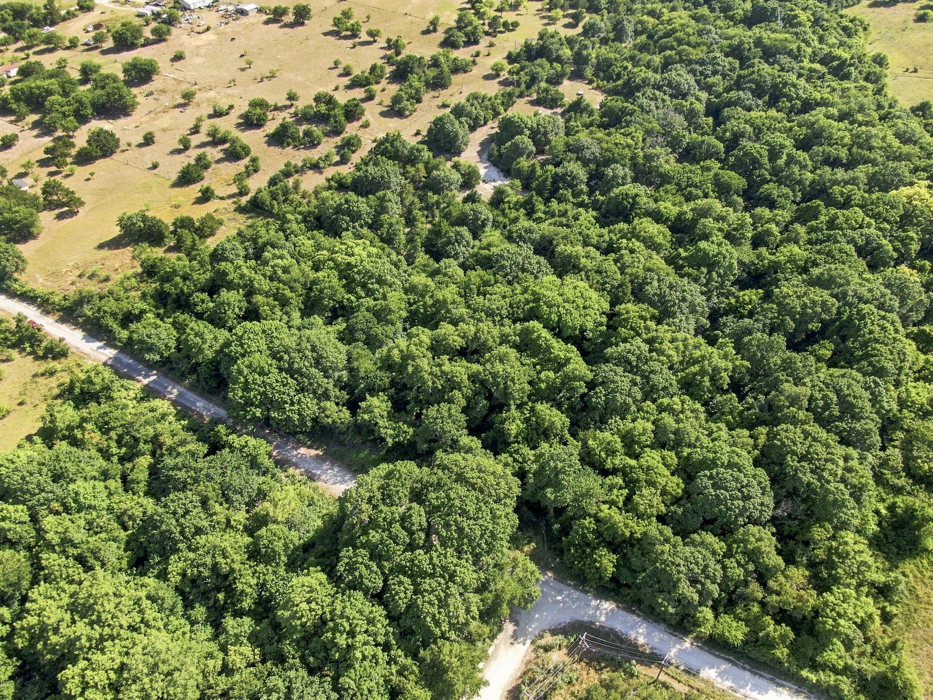 2.81 acres in Hill County - photo 4