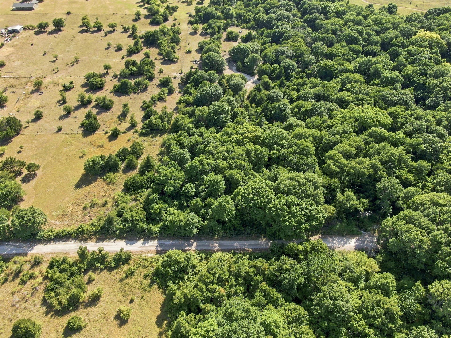 2.81 acres in Hill County - photo 8