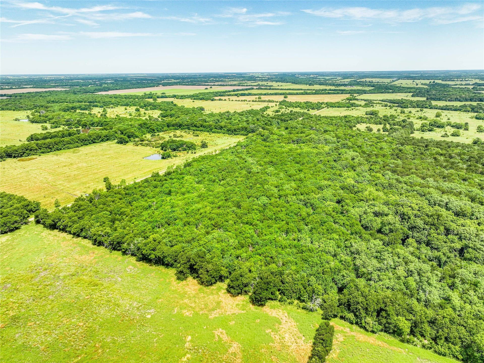 47.64 acres in Hunt County featured view