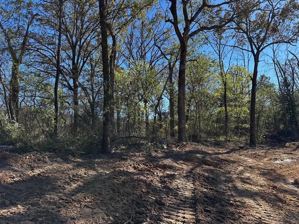 10.01 acres in Van Zandt County gallery image 4