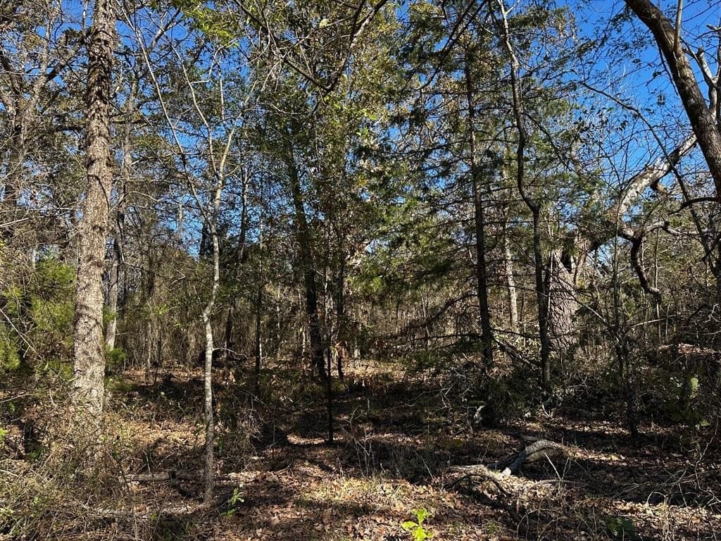 10.01 acres in Van Zandt County gallery image 3