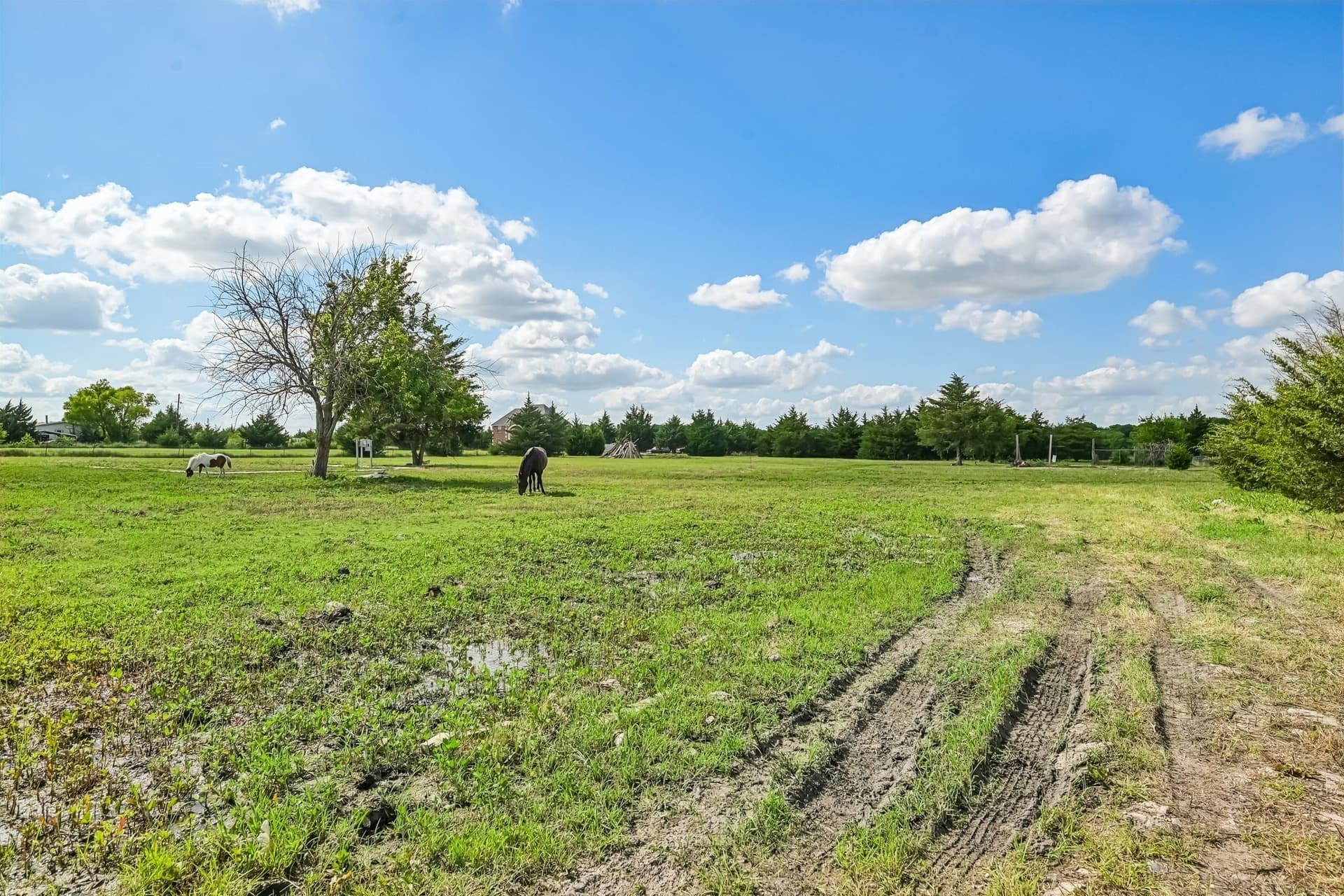 10 acres in Collin County - photo 6