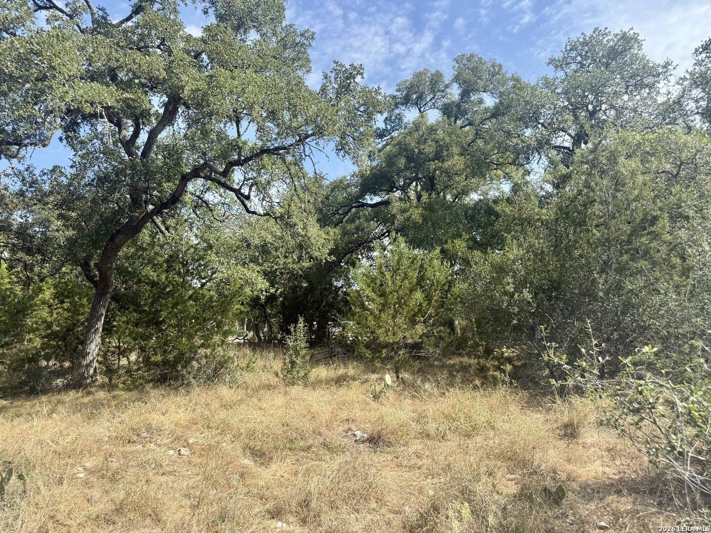 0.4 acres in Blanco County - photo 15