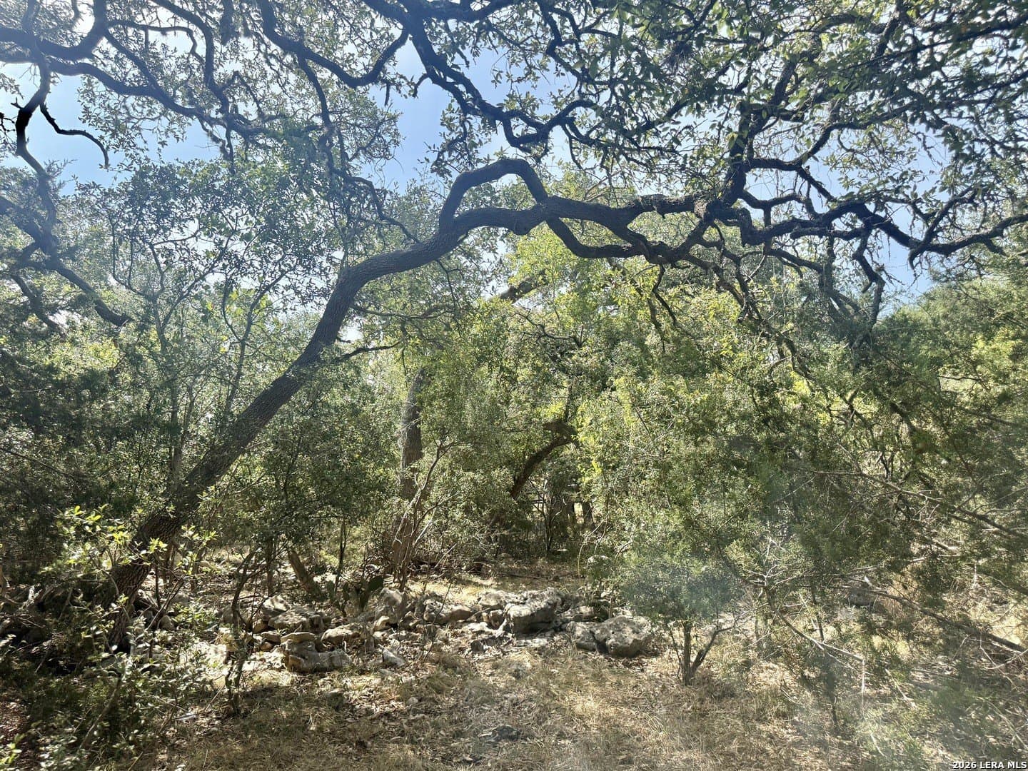 0.4 acres in Blanco County - photo 22