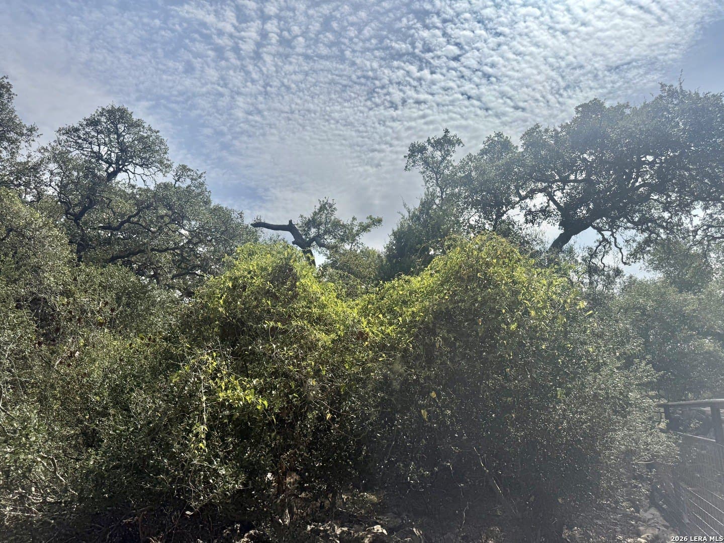 0.4 acres in Blanco County - photo 11