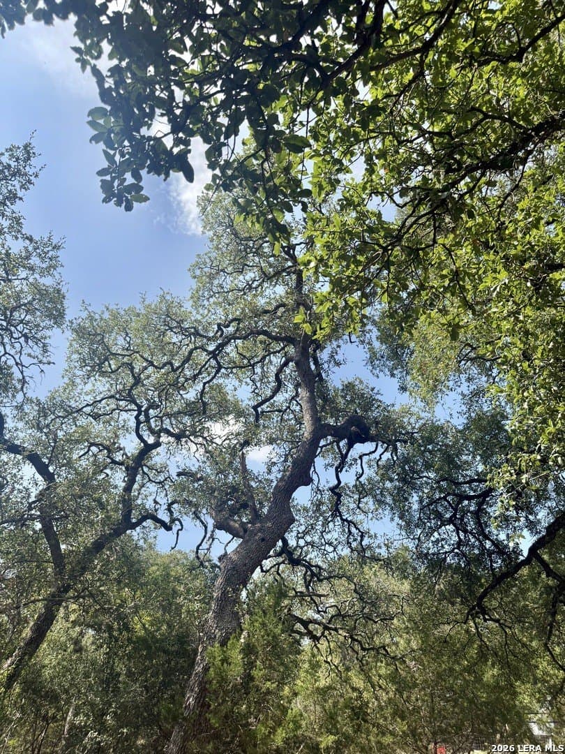 0.4 acres in Blanco County - photo 23