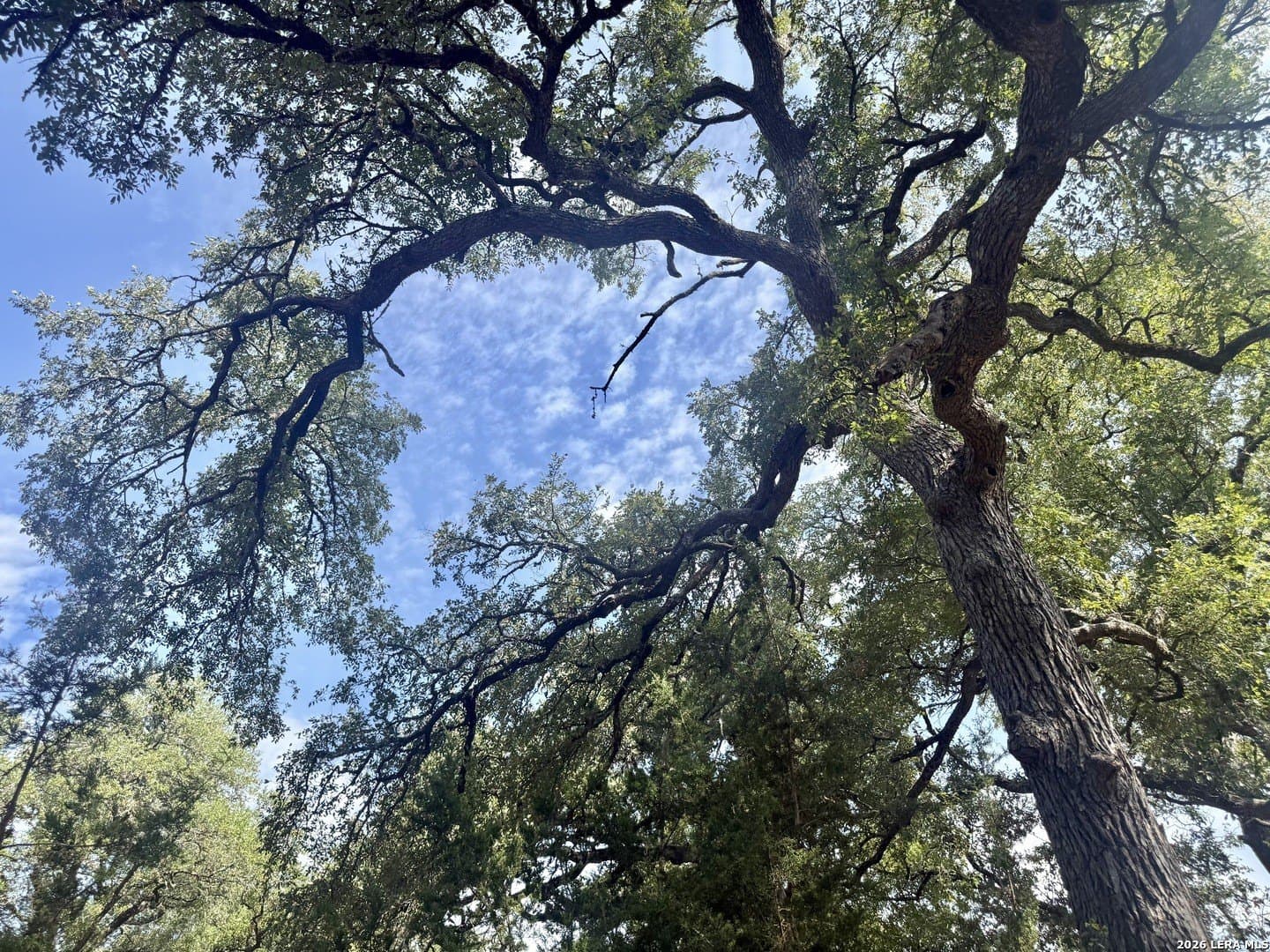 0.4 acres in Blanco County - photo 18