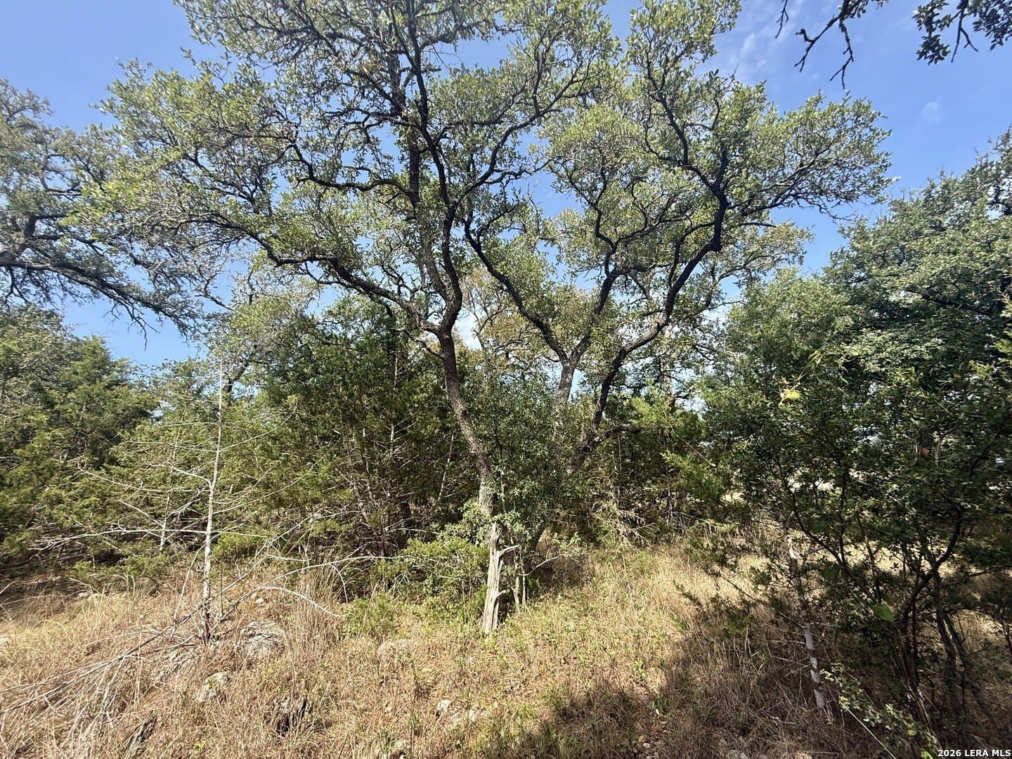 0.4 acres in Blanco County - photo 3
