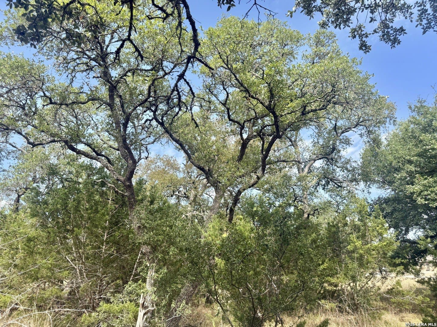 0.4 acres in Blanco County - photo 9