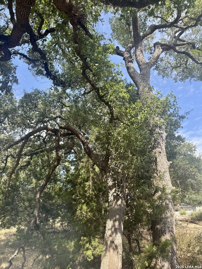 0.4 acres in Blanco County - photo 26