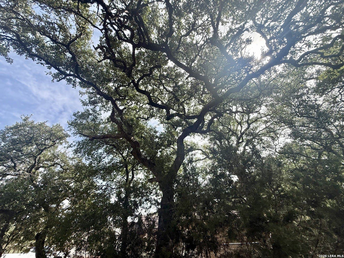 0.4 acres in Blanco County - photo 12