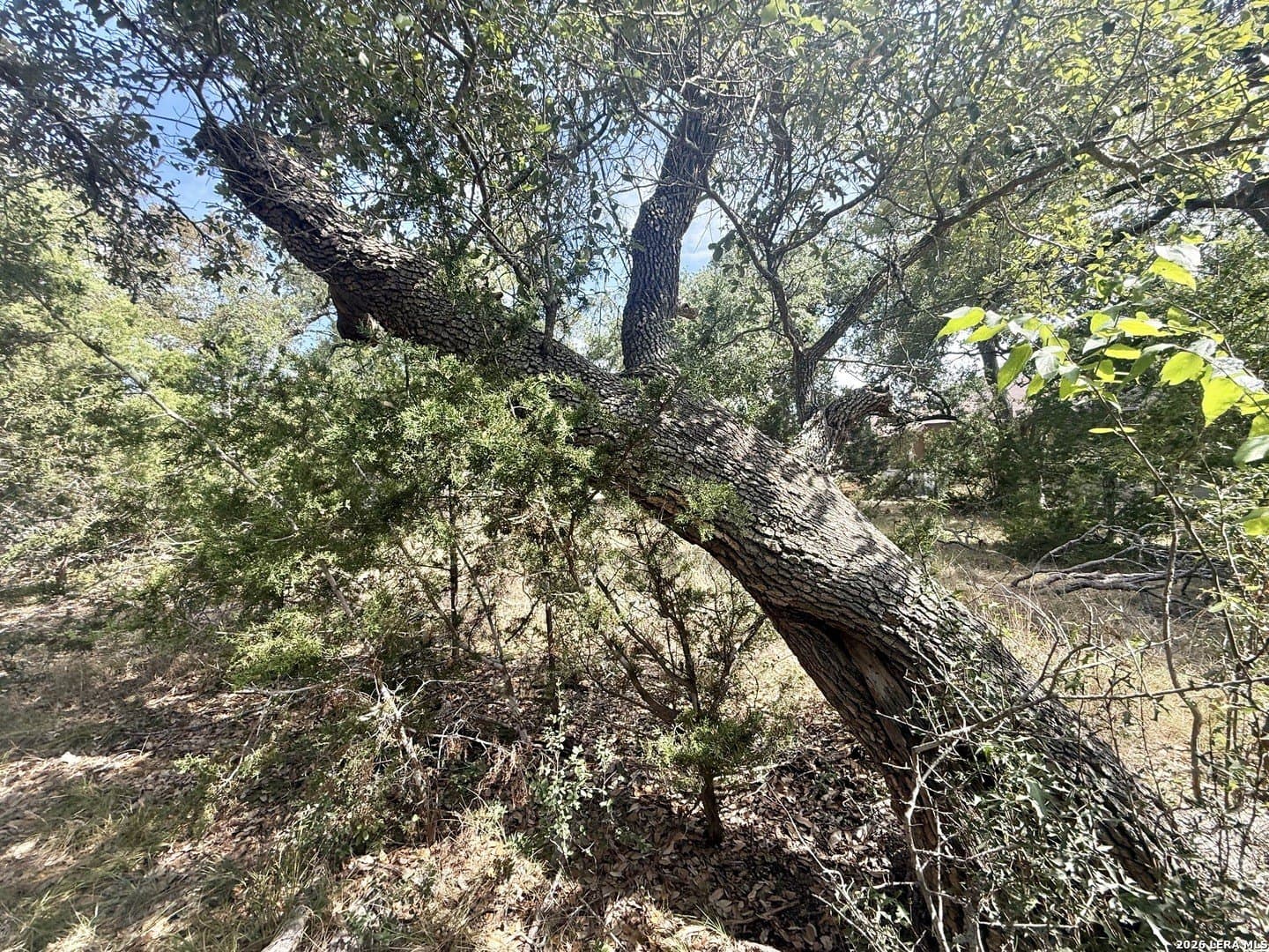 0.4 acres in Blanco County - photo 8