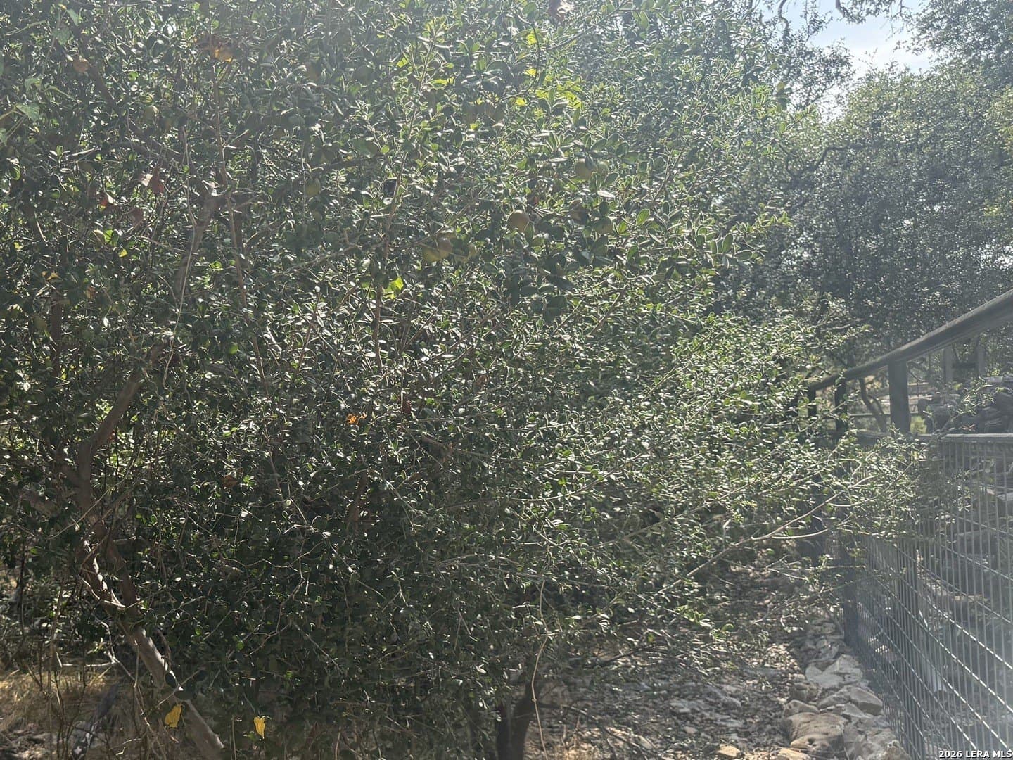 0.4 acres in Blanco County - photo 17
