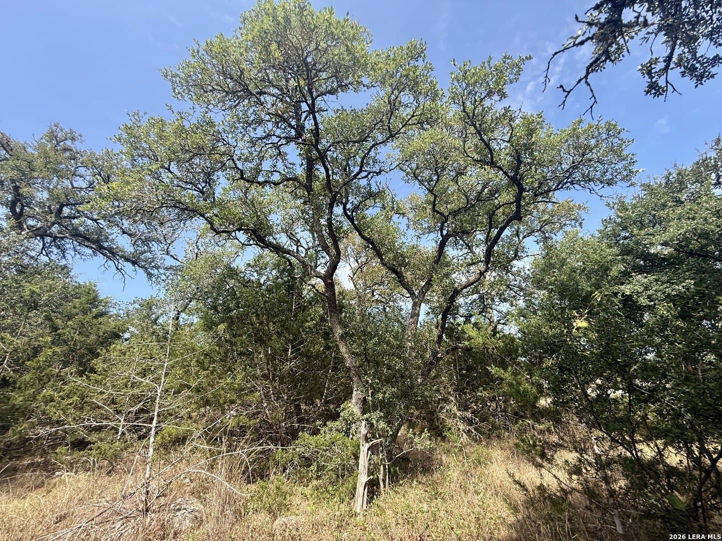 0.4 acres in Blanco County - photo 28