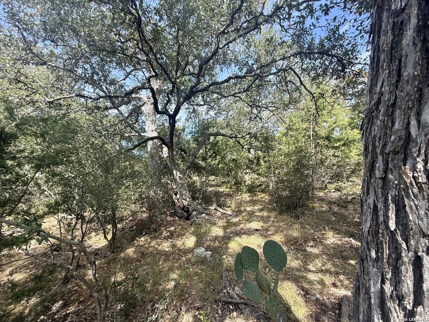 0.4 acres in Blanco County - photo 4