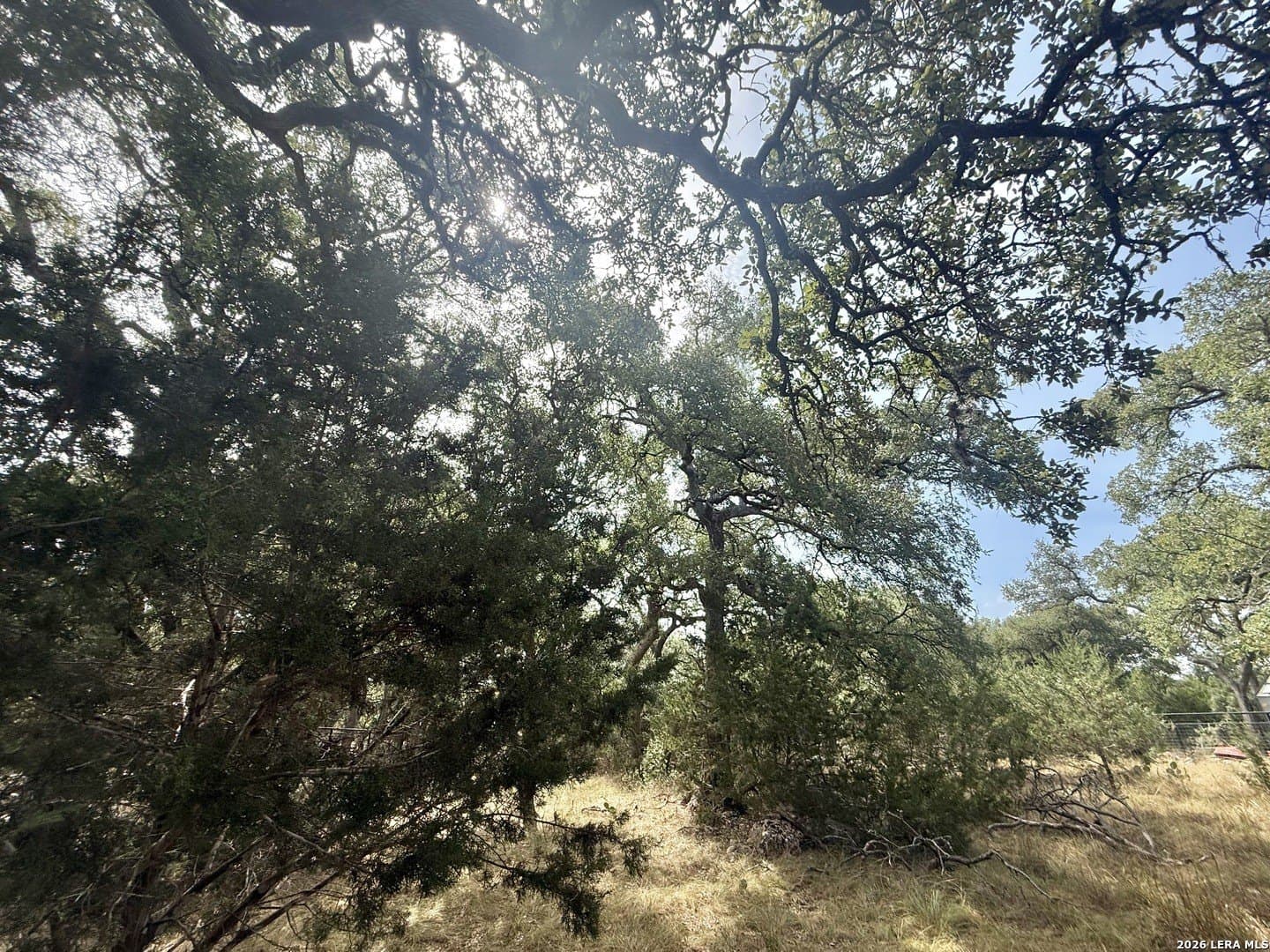 0.4 acres in Blanco County - photo 2