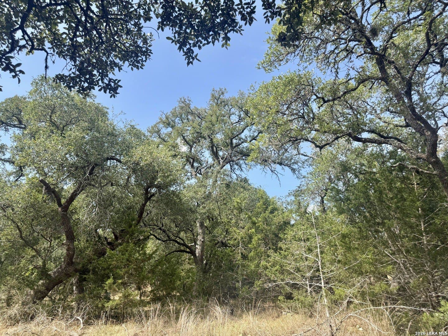 0.4 acres in Blanco County - photo 7