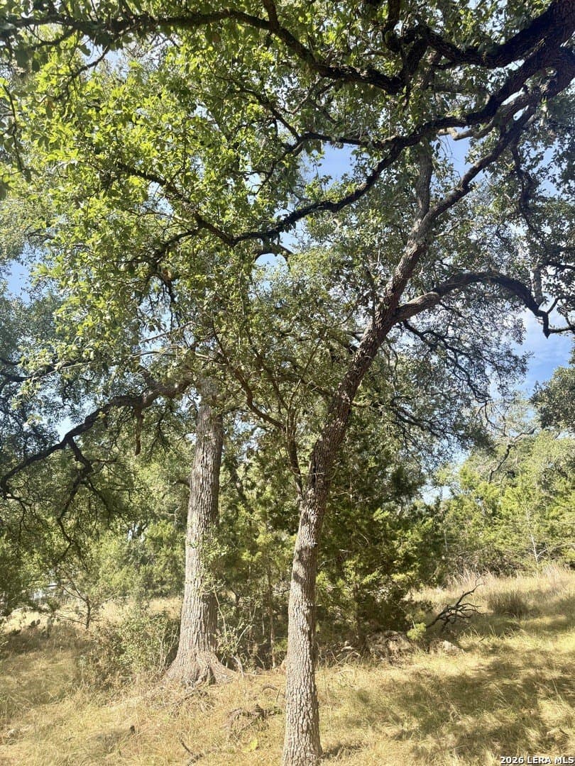 0.4 acres in Blanco County - photo 25
