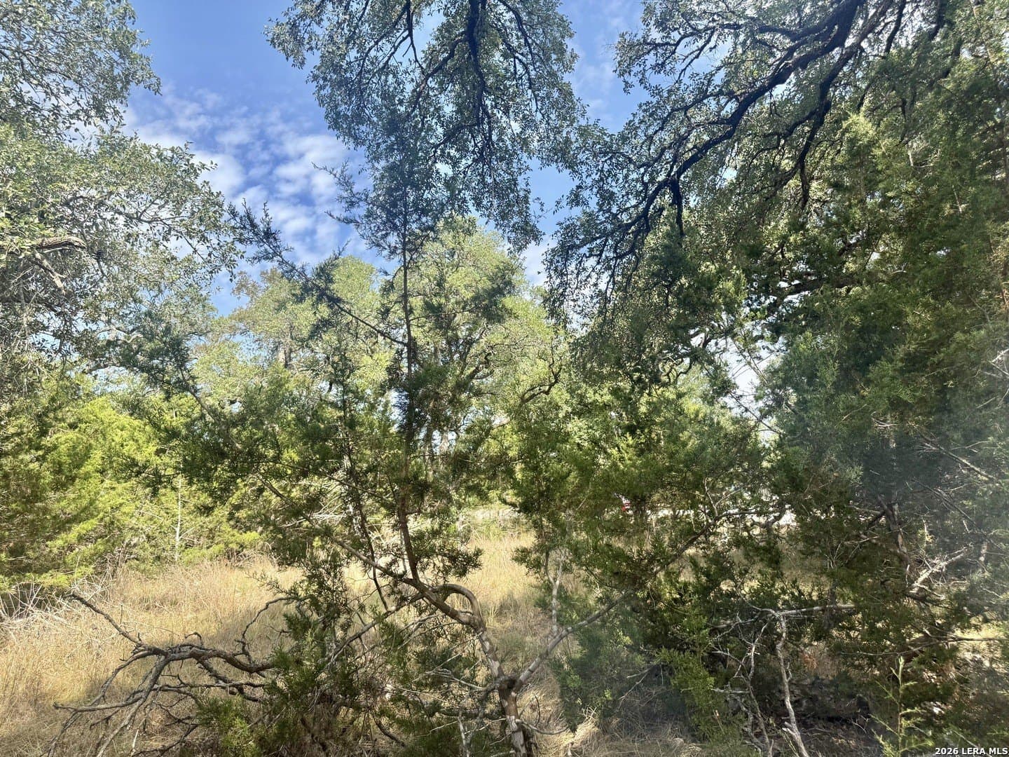0.4 acres in Blanco County - photo 19