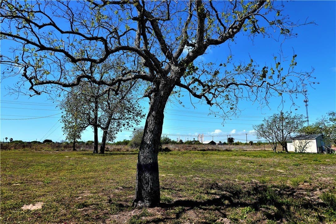 0.23 acres in San Patricio County gallery image 3