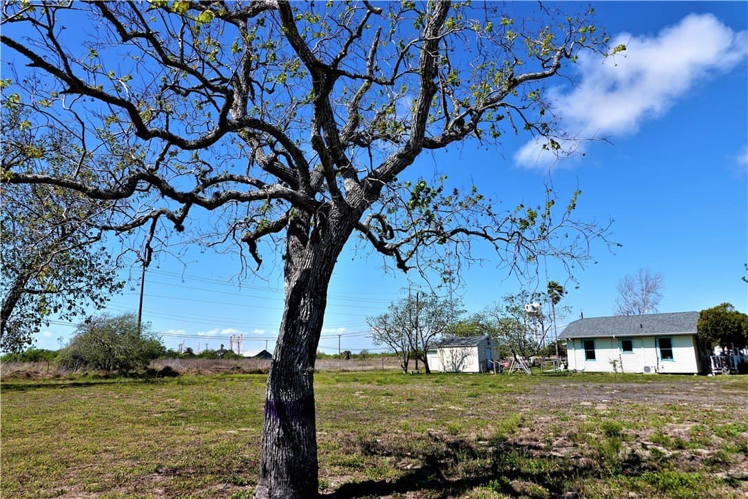 0.23 acres in San Patricio County - photo 12