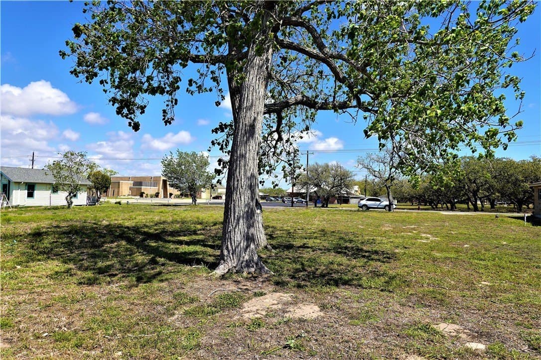 0.23 acres in San Patricio County - photo 15