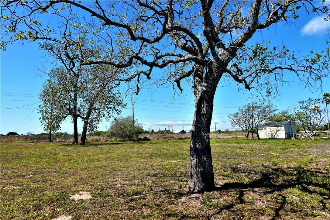0.23 acres in San Patricio County - photo 11