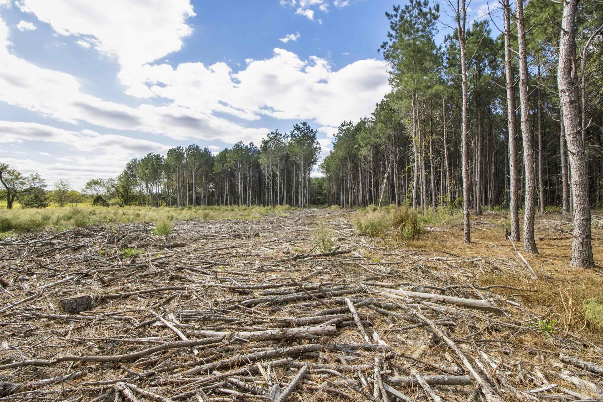 95.04 acres in Upshur County - photo 10