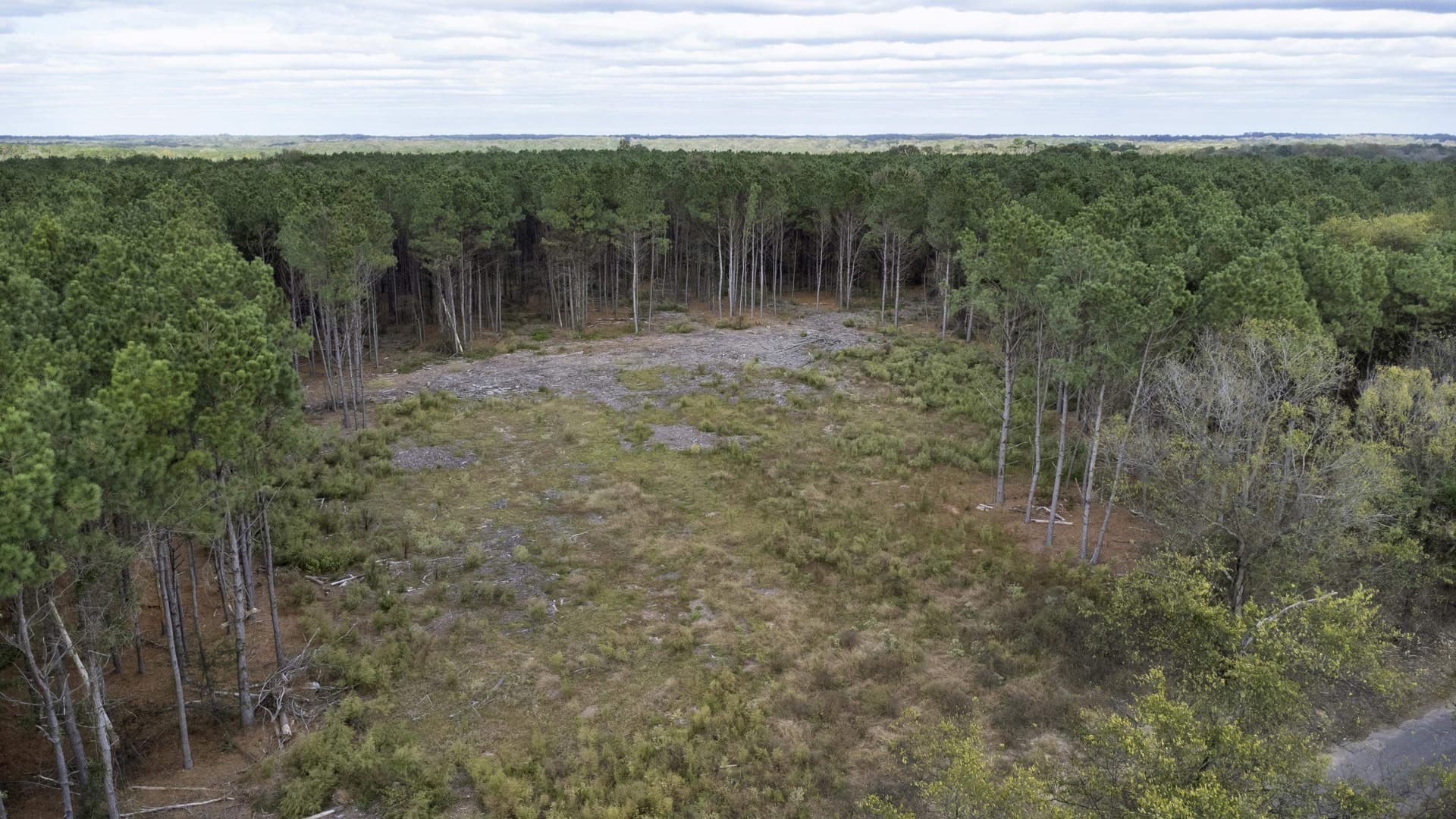 95.04 acres in Upshur County featured view