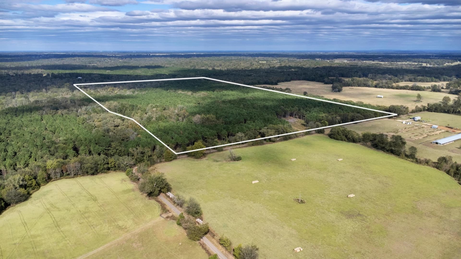 95.04 acres in Upshur County gallery image 2