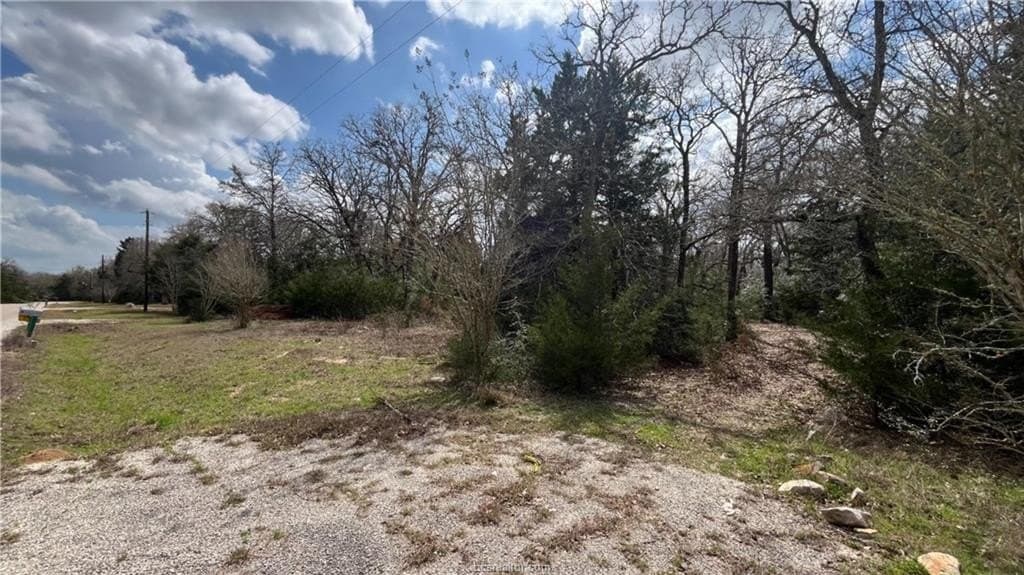 5.06 acres in Brazos County - photo 6