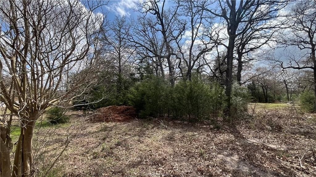 5.06 acres in Brazos County gallery image 2