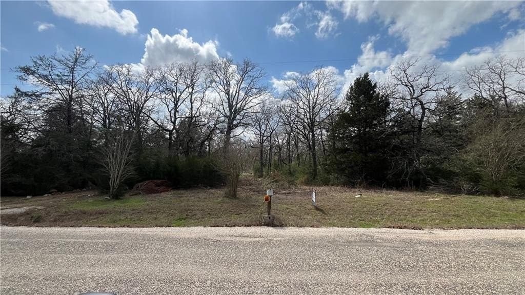 5.06 acres in Brazos County gallery image 3