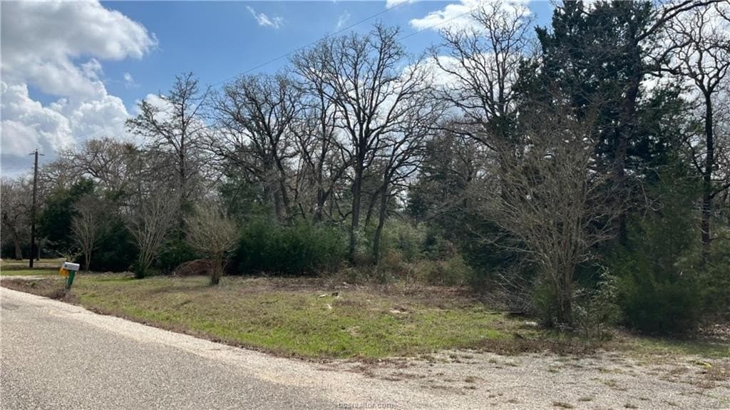 5.06 acres in Brazos County gallery image 4
