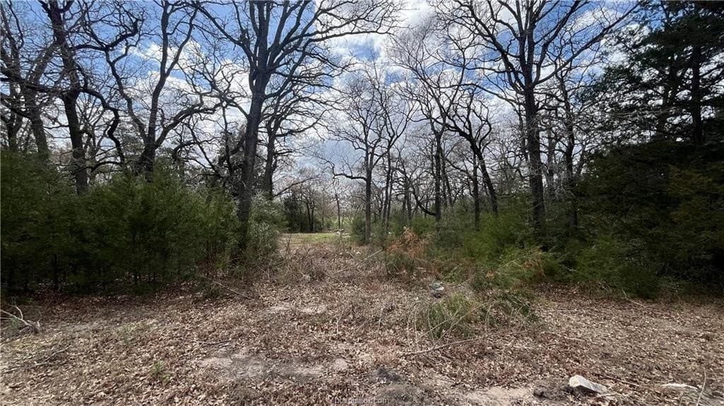 5.06 acres in Brazos County
