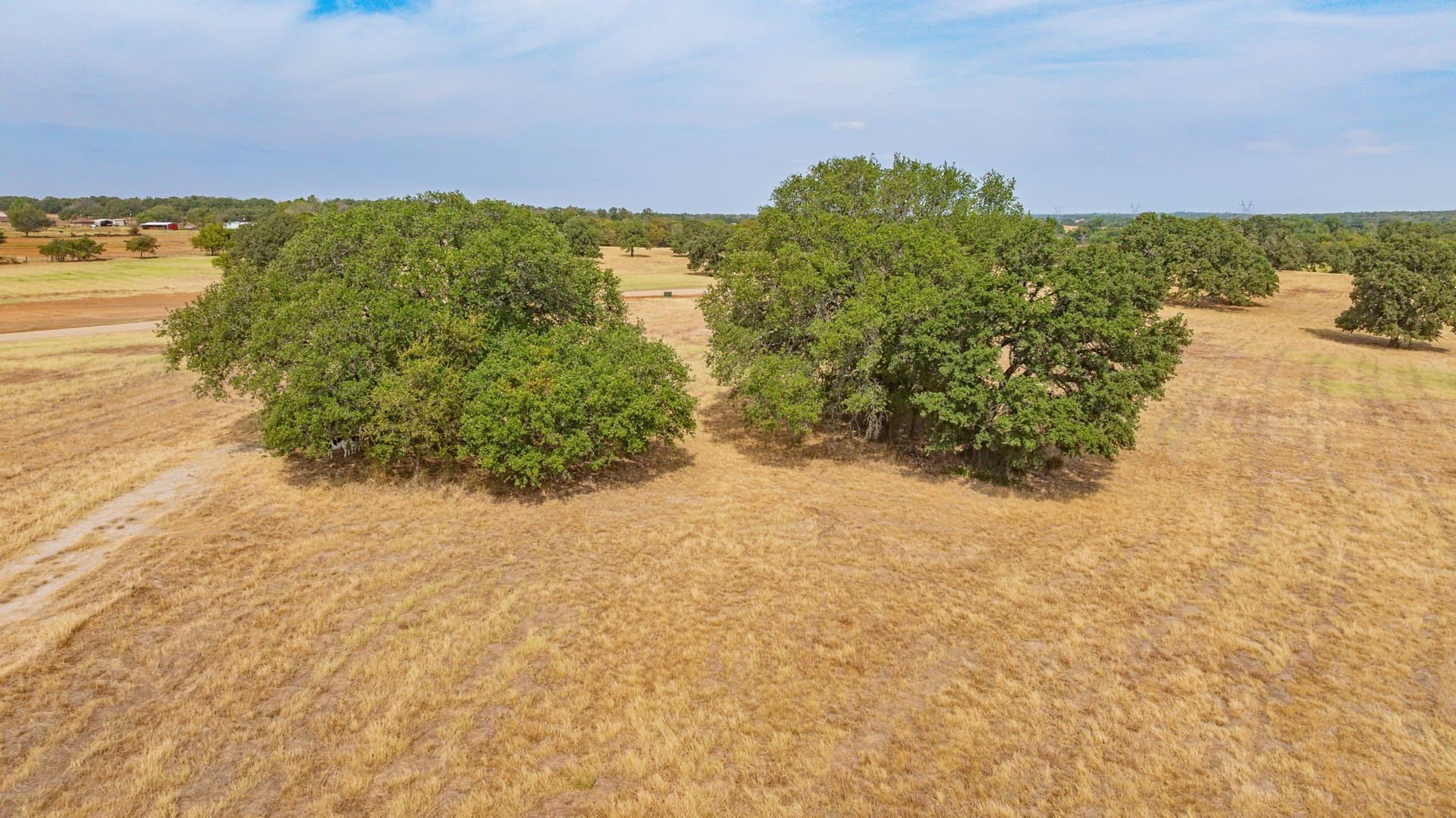 2.02 acres in Parker County - photo 6