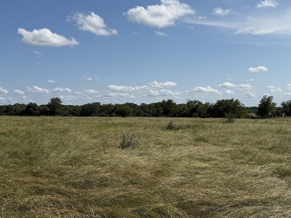 10.81 acres in Colorado County - photo 15