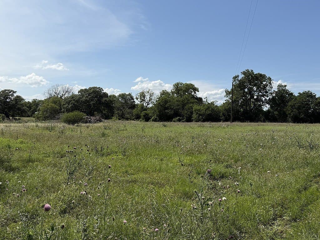10.81 acres in Colorado County - photo 12