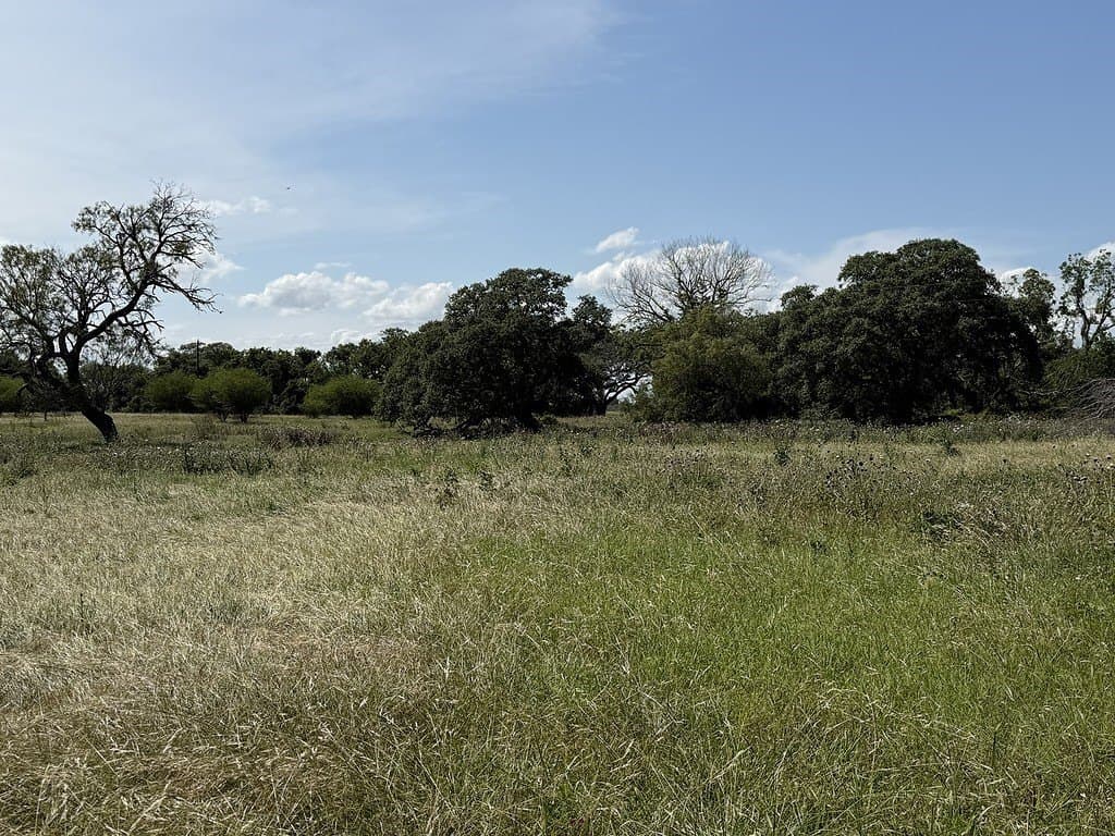 10.81 acres in Colorado County - photo 9