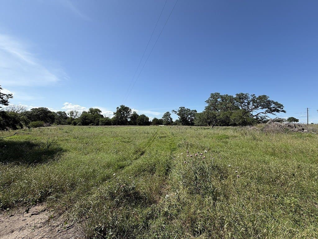 10.81 acres in Colorado County - photo 14