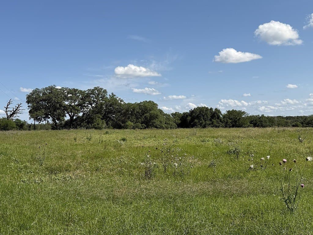 10.81 acres in Colorado County - photo 10