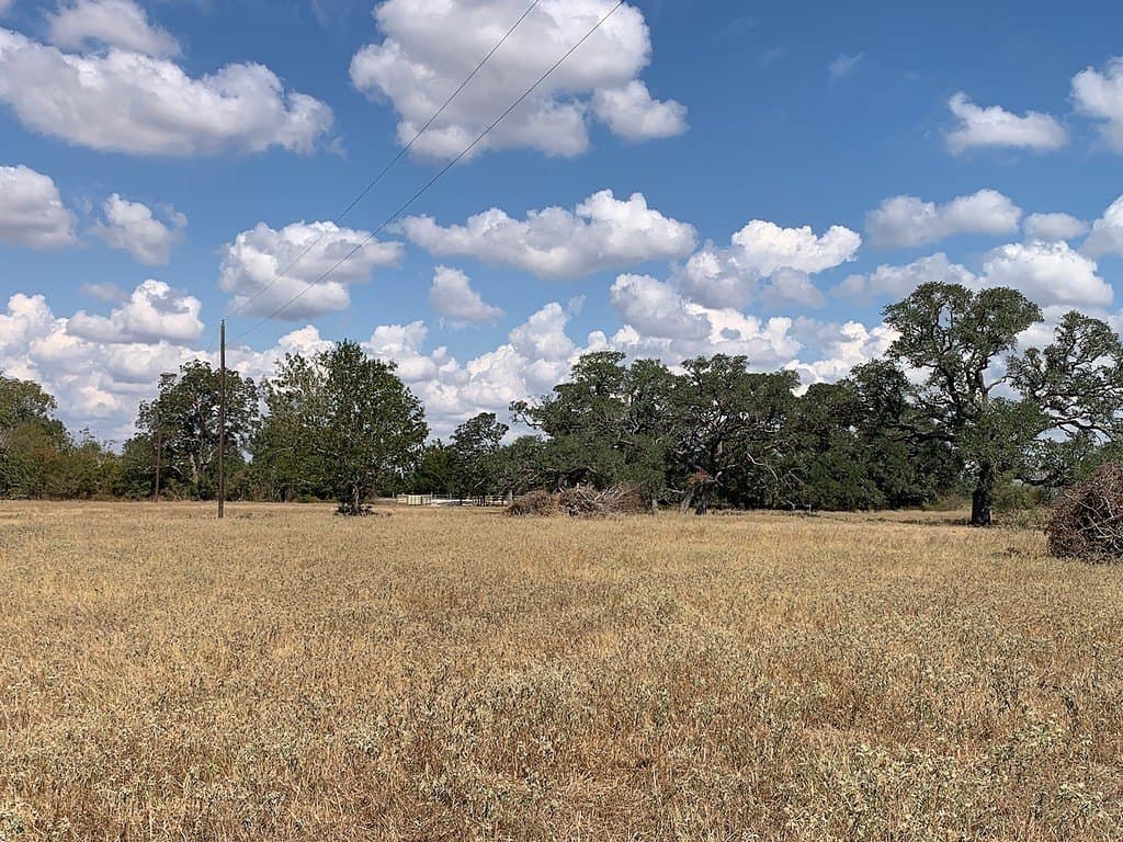 10.81 acres in Colorado County - photo 19